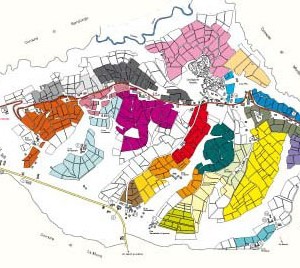 Carta Castiglione particolre