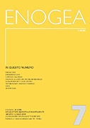 Enogea 7