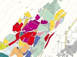 Carta Mazzon particolare