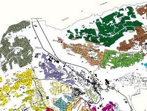 Carta Neive particolare