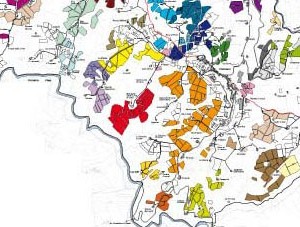 Carta Panzano particolare