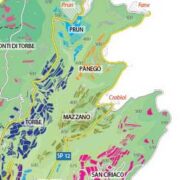 Valpolicella e Amarone