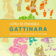 Gattinara: vigneti e cantine