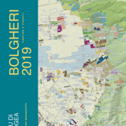 Bolgheri 2019: Vineyards & Cellars