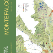 Montefalco: Vineyards & Crus
