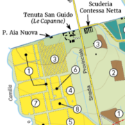 Tenuta San Guido - The Vineyards
