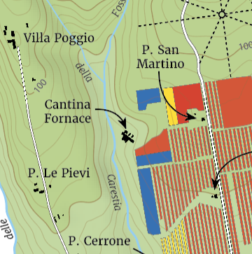 Tenuta San Guido - Grape varieties