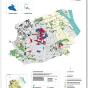Château Palmer - vineyards and grapes varieties